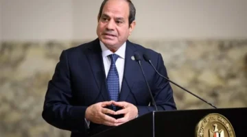 جني ثمار الإصلاح.. السيسي يؤكد استمرار العمل لتحقيق أهداف الاقتصاد المصري في 2026